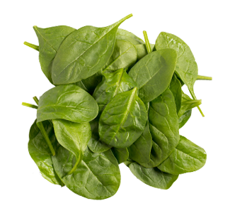 Baby Spinach 1